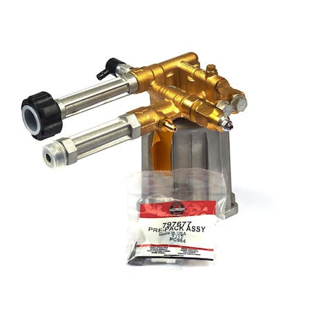 Briggs & Stratton Pressure Washer Pump 206376GS